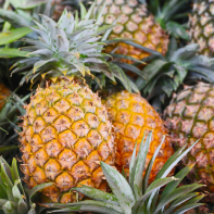 pineapples