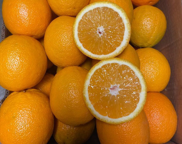 citrus