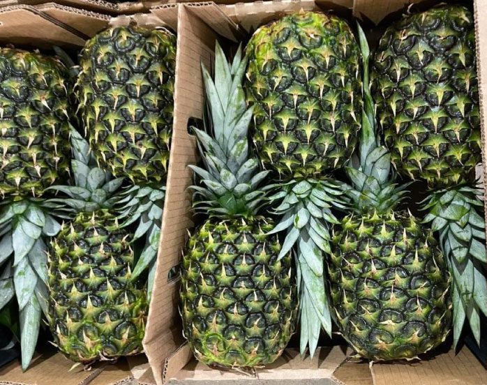 pineapple